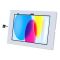 RAM Mounts Safe-Case for Apple iPad 10th & 11th Gen - Key-Lock, several Hole Pattern, light gray